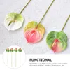 Simulazione di fiori decorativi Anthurium Andraeanum Lind House Home Bouquet Delicate Delicate Decor Disposition Branch artificiale artificiale