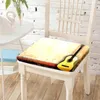 Pillow Guitar Instrument Printing Chair Back S Offices Chairs Pad Decorative Living Room Bedroom Balcony Home Decor