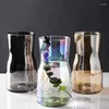 Vazen Bloemvaas voor Home Decor Glass Handgemaakte tafelblad Terrarium tafel ornamenten rustiek Nordic