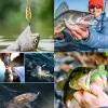 Mukun 10pcs Micro Soft Fish Loving приманки 0,5 г/40 мм T-Tail Brim Приманка Небольшая искусственная приманка Jig Wobblers Bass Pike Fishled