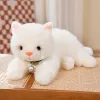 Kawaii chat blanc peluche jouet moel animal en peluche chaton de vif du monde réaliste