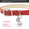 Colletto di gatto in pelle bling con campanello personalizzato COLLAR PER CATS CUPPY CACCHI ACCESSORI DI KITTINA CHUAHUA