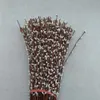 38 cm, 100pcs 9Colors Pip Berry tige artificielle Fil de rotin branches séchées avec mini-bourgeons de poire, bricolage pour couronne de porte, poils Garland
