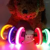 Dog Collars Led For Dogs Rechargeable Adjustable Lighted Night Collar Glowing Walking Lights