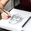 プロの描画スケッチペンシルセット、12ピースアートペンシルグラファイトシェーディングペンシル初心者向けプロアーティスト