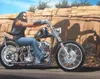 David Mann Ghost Rider Art Home Silk Print Poster 20x30 24x36 24x433635378