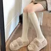 Chaussettes de femmes 2 paires chaudes longues haut les bas de coton genou sur la cuisse féminine pour femmes