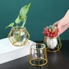 Vases Mini Geometric Glass Flower Pot avec support métallique