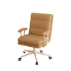 Study Recliner Office Chairs Mobile Playseat Designer Luxury Vanity Chair Rolling Floor Chaise Bureau Office Furniture CY50BGY