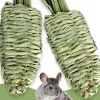 1 PC Rabbit Water Grass Radish Toys Natural Molar Molar Molar Toy Supplies para Chinchilla de Pig.