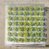 49pcs/caj de cajas de la flor de la flor de paisaje decoración de jardín de jardín con paisaje adhesivo modelo de césped con mechón de bricolaje diseño del edificio del edificio