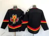 Calgary Custom Flames Hockey Jerseys 4 Rasmus Andersson 11 Mikael Backlund 20 Blake Coleman 27 Matt Coronato 71 Walker Duehr 48 Dennis Gilbert 18 A.J.Greer Joel Hanley