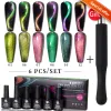 Kits bozlin 6pcs/conjunto de gel esmalte de preto 9d glitter chameleon gat gel magnético conjunto com bastão magnético