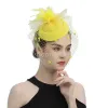 Güzellik Tüy F Mesh Fascinators Kadın Peyze Pap kutusu Kentucky Kafa Bandı Saç Net Cadılar Bayramı Saç Bandının Saç Aksesuarları