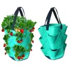 Plast Strawberry Planting Bag Plant Grow Hanging Bag Garden Supplies