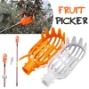 Panier de jardin Picker Fruit Head Multi-couleur Plastique Fruit de cueillette Catcher d'outil d'agriculture Bayberry Jujube Supplies