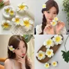 Kobiety Plumeria Flower Hair Clips Dziewczęta estetyczne spinki do włosów jaja kwiat barrette hawajska torba na przyjęcie weselne