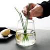 10pc Handmade Glass Straw With 2Pcs Cleaning Brush ECO-friendly Household Glass Straight Pipet Tubularis Snore Piece Tube