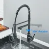 Rozin Black Kitchen Robinet printemps 360 ﾰ Tirez vers le bas du pulvérisateur Bouxage à eau froide chauffée Tap de terrasse à double bec de buse Robinets Crane