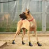 4 stks/Set Outdoor Waterdichte niet-slip anti-vlek Dog Cat Socks Booties met rubberzolige huisdierpootbeschermer voor kleine grote hond