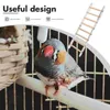 Other Bird Supplies Parrot Climbing Ladder Wooden Parakeet Acrylic Pet Training Toy Step