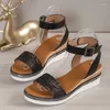 Sandals cuneo cinghia di amkle per donne estate 2024 tallone alto fusta gladiatore scarpe da donna non slip piattaforma femminile femmina