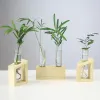 Jarrón de ensayo de vidrio cristalino transparente en frasco de flores de soporte de madera para plantas hidropónicas Decoración del jardín del hogar