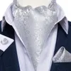 Luxury Silver Paisley Men ASCOT TIE CAMERE FORMALE FORMALE CRAVAT STILE BRITANNE SET SET POCKE PUCCHLINK DIBANGUGUGANE240409