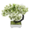 Fleurs décoratives Plante en pot artificielle Faux dans les plantes pour décoration intérieure Bonsaï en plastique réaliste arbre faux ménage