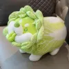 Simpatico giocattolo vegetale peluche giocattolo giapponese cavolo cane soffice animali di peluche per cane morbido bambola shiba inu cuscino per bambini giocattoli regalo