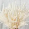 Fleurs décoratives Natural Fluffy séché à la pampas décor d'herbe pour mariage Bohemian Home Decoration Accessoires de Noël Bouquet Dekoration