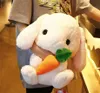 Cute Stuffed Rabbit Plush Soft Toys Bunny Kids Pillow Doll Creative Gifts for Children Baby Accompany Sleep Toy 223243cm 2107288027140