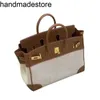 Sac pour femmes en cuir Bk Handbag 35 30 Picotin 18 22 INS Net Red Top Toile Contrast Platinum Bill of Lading Big Brand