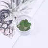 Decoratieve bloemen 100 stcs geperste gedroogde narcissus pruimenbloesem bloemplant herbarium voor epoxy hars sieraden bookmark ansichtkaart nagelart diy diy