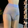 Sous-caisse Men sexy Sissy Underwear Mesh Pantes transparentes Bulge Scline Bikini Briefes Hight Rise Solid Gay Man Erotic G-string