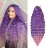 ディープウェーブツイストかぎ針編みの髪自然合成アフロカールかぎ針編みの編組オンブル編組ヘアエクステンションは女性のための髪の拡張機能