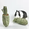 1 PC Rabbit Water Grass Radish Toys Natural Molar Molar Molar Toy Supplies para Chinchilla de Pig.