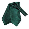 HITIE Silk Green Mens Ascot Tie Pocket Square CuffLinks Set Jacquard Woven Cravat Male Groomsmen Wedding Business Events 240409