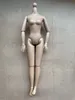 1/6ドールボディ16ジョイントDIY Movable Nude Naked Doll Body for 1/6 pp/fr/babi Super Model House DIYボディドールアクセサリー