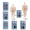 Obitsu 11 Body Extended Accessories Doll DOD Body Suitable for GSC Head Ob11 1/12 BJD Doll Body Spherical Joint MJD Dolls Toys