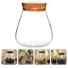 VASESNACK TRAVEL CONTERER CORK GLASS BOTTLE STORAGEJAR CRAFTSジューシャンポットバブルボウルフローリウム