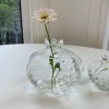 Kreative einfache kleine Granatapfel -Glasvase Desktop Hydroponic Schöne hydroponische Blume Ornament Home Decor Vase Transparent