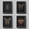 Vintage Dark Academia Insect Beetle and Golden Moth Poster Canvas Måla väggkonst Bilder Gotisk stil Hemskola dekor