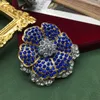 Spille di gioielli medievali vintage set per donne zaffiro corsage con la signora da donna accessori da sera da sera accessori