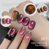 6g/jar gatto gel gel gel gel magnete laser immergere fuori manicure a led semi permanente permanente gel vernice colla manicure