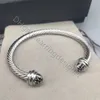 Fashion Head Bracelet Twist Luxe vrouwen Designer veelzijdige gedraaide parel armbanden sieraden platina vergulde bruiloft geschenken 5 mm 4 mm dik ijs