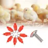 10pcs Poulet de poulet mamelons à vis automatique de style visquette des canards d'eau de mamelon d'eau dindeurs d'alimentation agricole