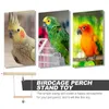 Autres fournitures d'oiseaux PARROT Swing Placed Parakeet Toys Cages for Parkeet Accessoires Couc Maqueur