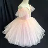 Stage Wear Rose Professional Romantic Tutu Long Tulle Tutus Ballet Robe Femmes Girls Ballerina Party Children Dance Costumes