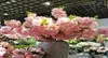 Flores decorativas coronas de 1 metro flor de cerezo seda artificial ramas sakura falsas largos bouquet bricol